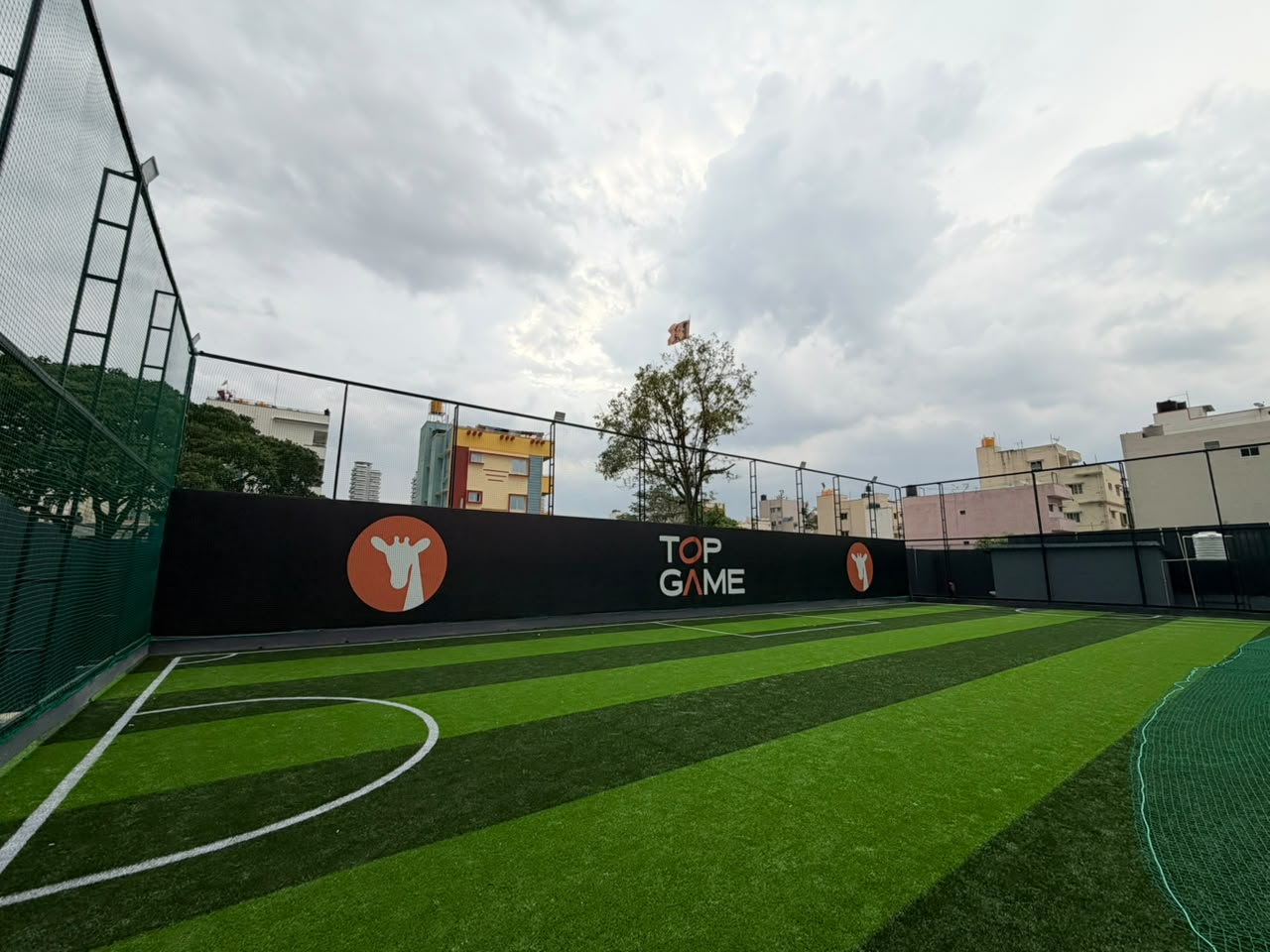 Turf Top View